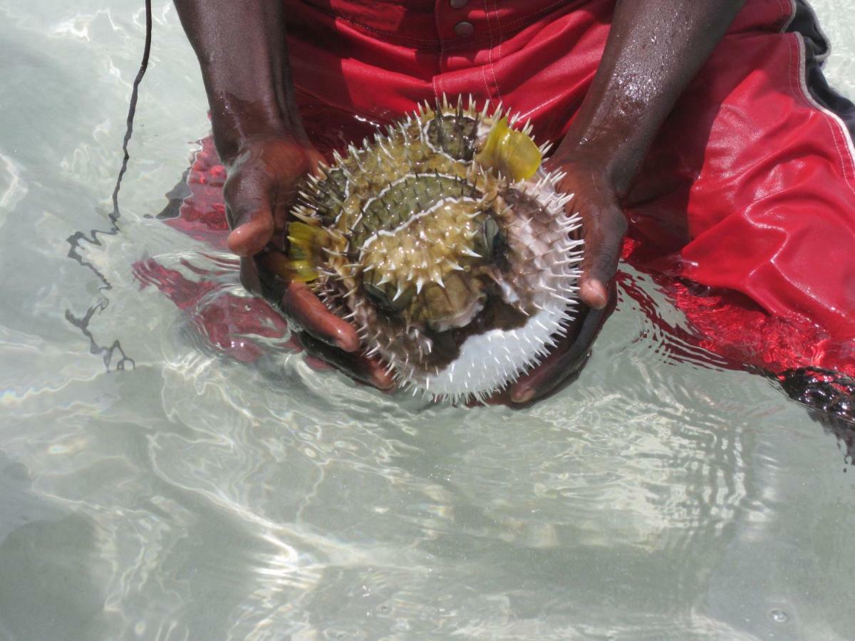 Fortamu Twiga-House Watamu Esterno foto